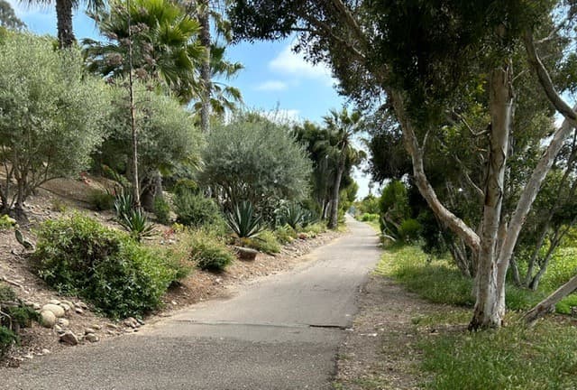 Bike path in need of repaving